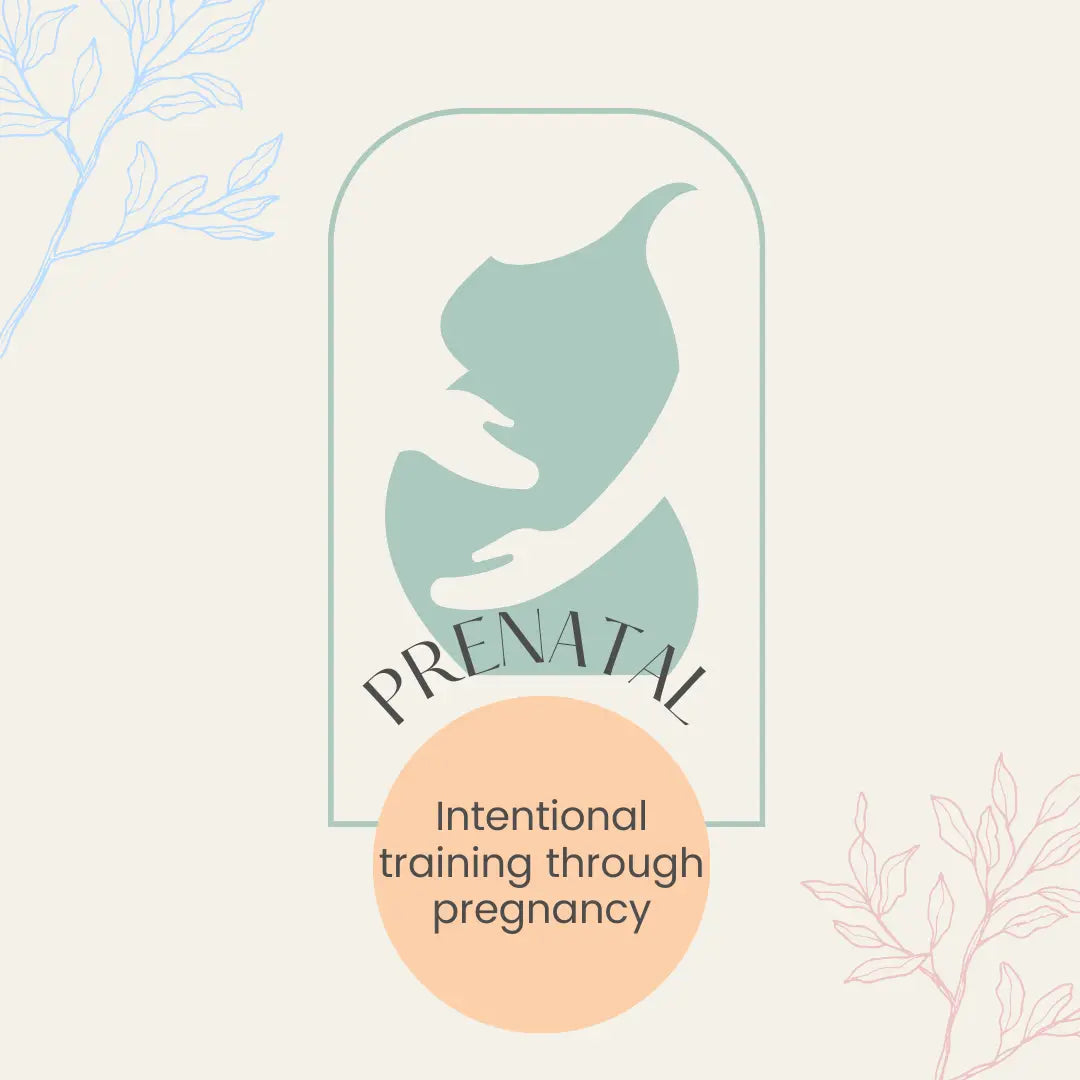 PREGNANCY PROGRAM Kelly Yager